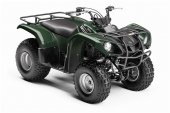 2009 Yamaha Grizzly 125 Automatic photo